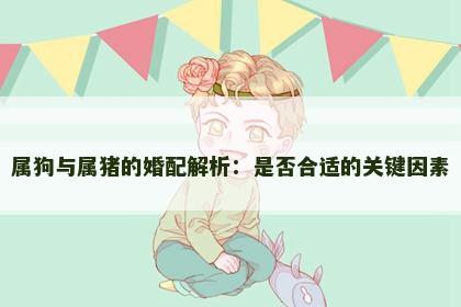 属狗与属猪的婚配解析：是否合适的关键因素