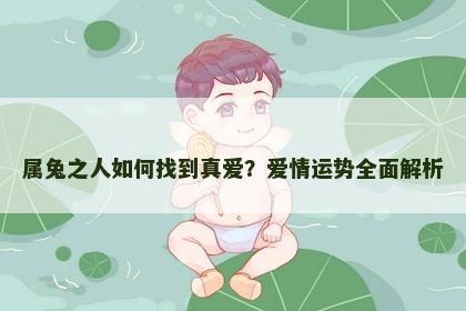 属兔之人如何找到真爱？爱情运势全面解析