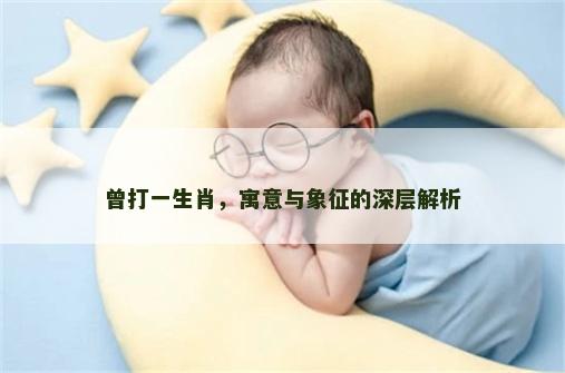 曾打一生肖，寓意与象征的深层解析