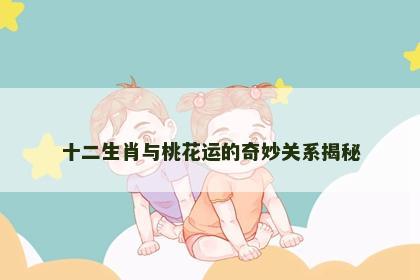 十二生肖与桃花运的奇妙关系揭秘