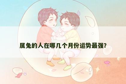 属兔的人在哪几个月份运势最强？