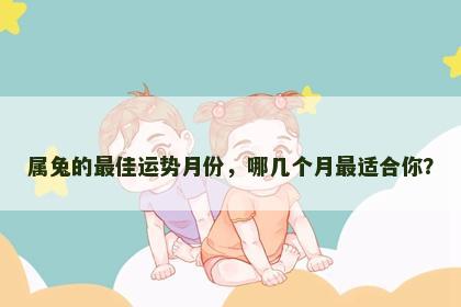 属兔的最佳运势月份，哪几个月最适合你？