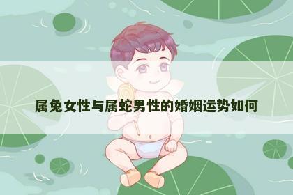 属兔女性与属蛇男性的婚姻运势如何