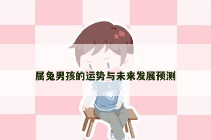 属兔男孩的运势与未来发展预测