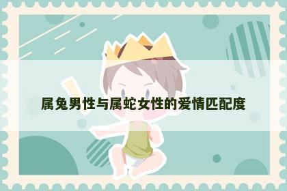 属兔男性与属蛇女性的爱情匹配度