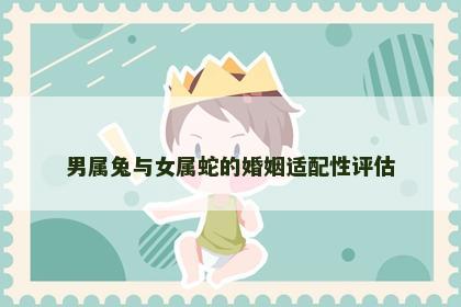 男属兔与女属蛇的婚姻适配性评估