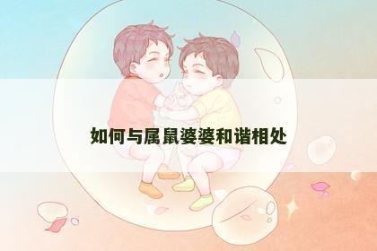 如何与属鼠婆婆和谐相处