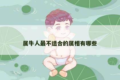 属牛人最不适合的属相有哪些