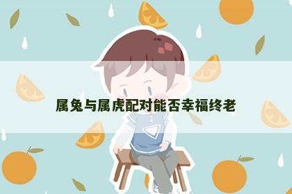 属兔与属虎配对能否幸福终老