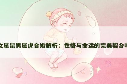 女属鼠男属虎合婚解析：性格与命运的完美契合吗