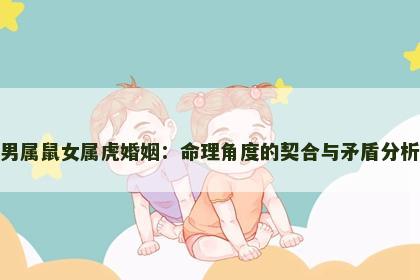男属鼠女属虎婚姻：命理角度的契合与矛盾分析