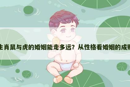 生肖鼠与虎的婚姻能走多远？从性格看婚姻的成败