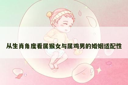 从生肖角度看属猴女与属鸡男的婚姻适配性