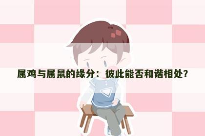 属鸡与属鼠的缘分：彼此能否和谐相处？