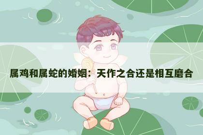 属鸡和属蛇的婚姻：天作之合还是相互磨合