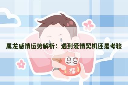 属龙感情运势解析：遇到爱情契机还是考验