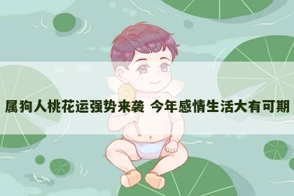 属狗人桃花运强势来袭 今年感情生活大有可期