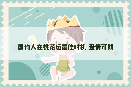 属狗人在桃花运最佳时机 爱情可期