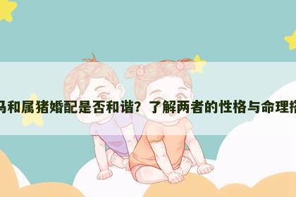 属马和属猪婚配是否和谐？了解两者的性格与命理搭配