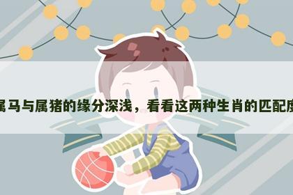 属马与属猪的缘分深浅，看看这两种生肖的匹配度