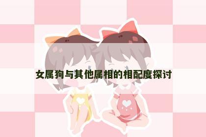 女属狗与其他属相的相配度探讨