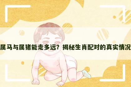 属马与属猪能走多远？揭秘生肖配对的真实情况