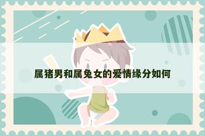 属猪男和属兔女的爱情缘分如何