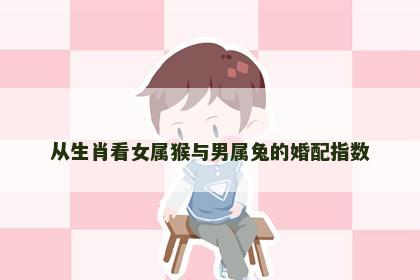 从生肖看女属猴与男属兔的婚配指数