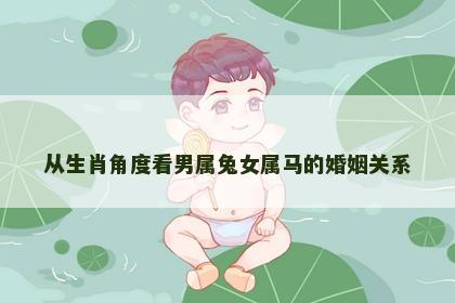 从生肖角度看男属兔女属马的婚姻关系