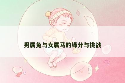 男属兔与女属马的缘分与挑战