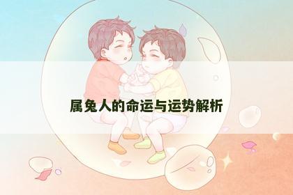 属兔人的命运与运势解析