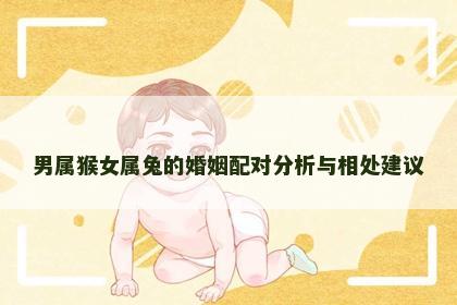 男属猴女属兔的婚姻配对分析与相处建议