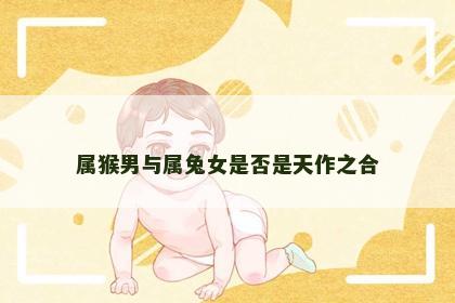 属猴男与属兔女是否是天作之合