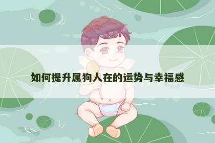 如何提升属狗人在的运势与幸福感