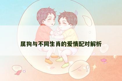 属狗与不同生肖的爱情配对解析