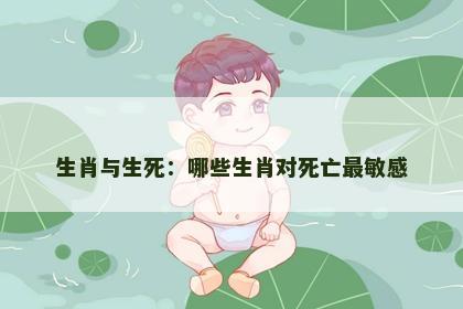 生肖与生死：哪些生肖对死亡最敏感