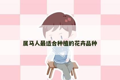 属马人最适合种植的花卉品种