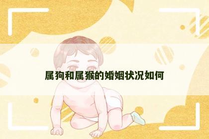属狗和属猴的婚姻状况如何