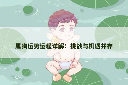 属狗运势运程详解：挑战与机遇并存