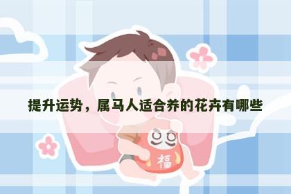 提升运势，属马人适合养的花卉有哪些