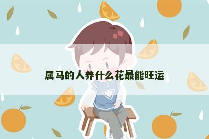 属马的人养什么花最能旺运