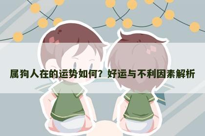 属狗人在的运势如何？好运与不利因素解析