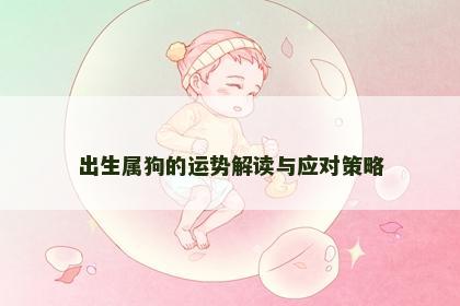 出生属狗的运势解读与应对策略