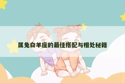 属兔白羊座的最佳搭配与相处秘籍