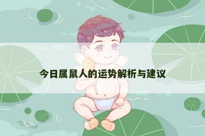 今日属鼠人的运势解析与建议
