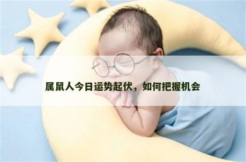 属鼠人今日运势起伏，如何把握机会