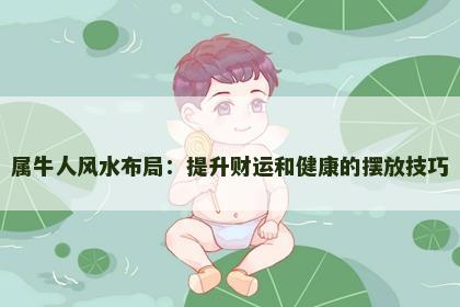 属牛人风水布局：提升财运和健康的摆放技巧