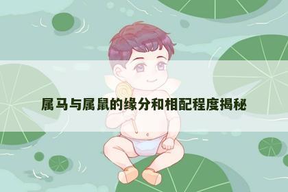 属马与属鼠的缘分和相配程度揭秘