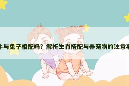 属牛与兔子相配吗？解析生肖搭配与养宠物的注意事项