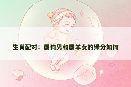 生肖配对：属狗男和属羊女的缘分如何